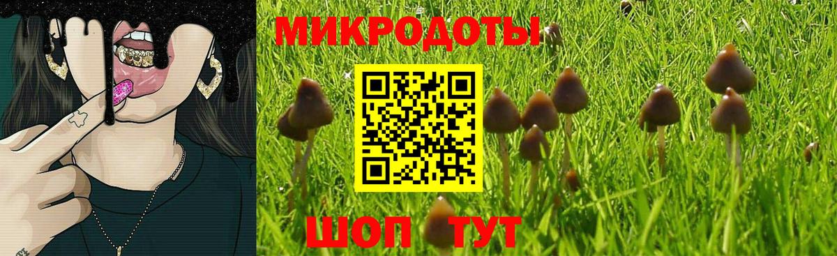 Химки  Псилоцибиновые грибы MAGIC MUSHROOMS  сколько стоит  Вход с VPN 